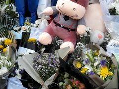 -上海市世外小学