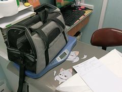 -纳吉亚猫专科动物诊疗中心(蒋宅口分院)