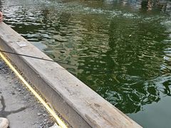 -DGE季风钓虾营地·团建·聚会