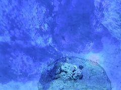 -浙江省科技馆
