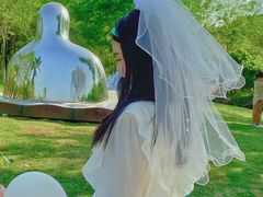 -合肥滨湖国家森林公园