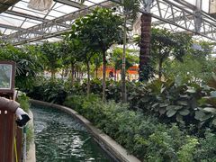 -南宫五洲植物乐园