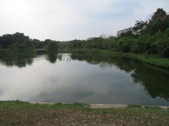 -长洲岛