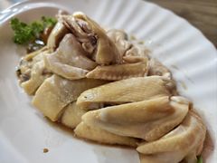 -五星海南鸡饭餐馆(东海岸路店)