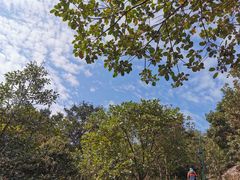 -梧桐山风景名胜区