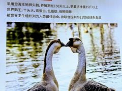 -陆记鹅庄·潮汕菜·狮头鹅(大仟里店)