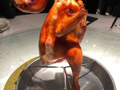 -五稻厨房粤西菜(新闻店)