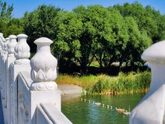 -北京麋鹿生态实验中心