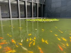 -三亚太阳湾柏悦酒店