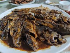 -金台阶鱼馆(于桥水库店)
