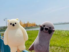 -上海海昌海洋公园