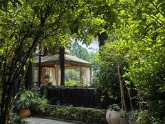 -野蔓果·山野菜(西湖景区·龙井茶田店)