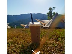 -Willing·Coffee&Brunch&Dinner(万达店)
