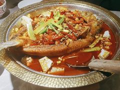 -肥家大排档(天河体育西店)