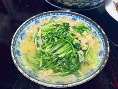 鸡毛菜百叶丝-三林本帮馆(中林街店)