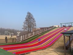 -黄海国家森林公园