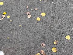 -森林公园(尖草坪区)