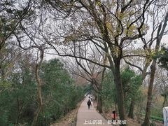 -大蜀山国家森林公园