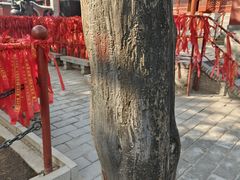 -红螺寺