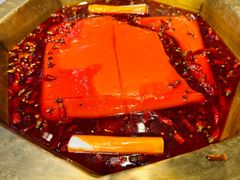 -蜀九香火锅(玉林店)