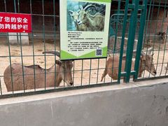 -保定市动物园