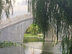 -映月湖公园