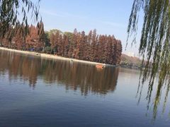 -东湖落雁景区