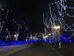 -浙江安吉JW万豪酒店·万豪中餐厅