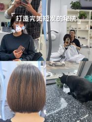 -飞梵造型