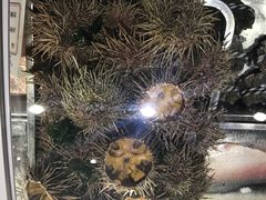 -蠔友汇(皇姑店)