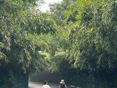 -石家庄市动物园