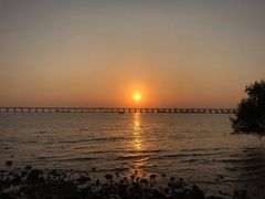 -宝安西湾红树林湿地公园