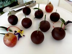 -食神鱼头佛跳墙(百子湾旗舰店)