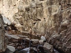 -黑龙潭风景区