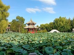 -莲池书院博物馆