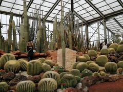 -南通洲际绿博园