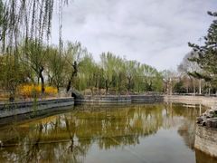 -黄村公园