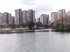 -新江湾城公园