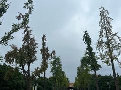 -明故宫遗址公园
