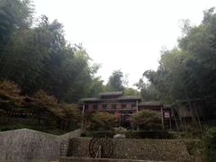 -宁波浙东大竹海景区