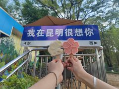 -昆明动物园