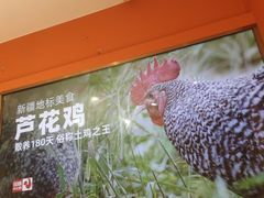 -俭寨大盘芦花土鸡·小公鸡·烧烤新疆菜(云通店)