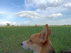 -敕勒川草原文化旅游区