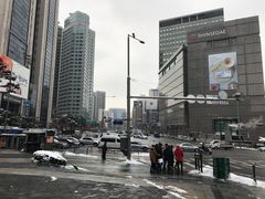 -新世界百货(明洞总店)