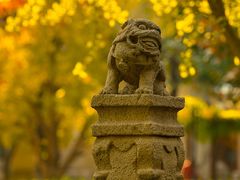 -北京石刻艺术博物馆(五塔寺)