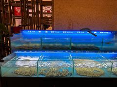 -太湖饭店玉兰厅(自助餐厅)