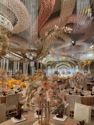 -花嫁丽舍婚礼殿堂(世博江景店)