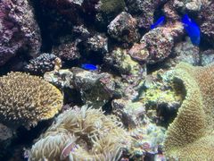 -鹿儿岛水族馆