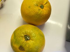 -幸栖洞穴设计酒店(成都春熙路店)