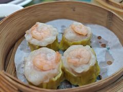 -馨越楼·点心·粤菜(赤坎店)